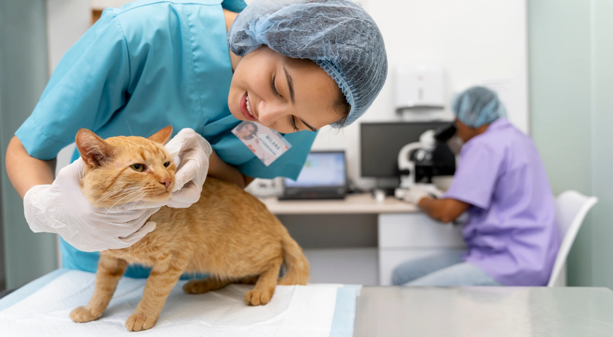 Industria Industria veterinaria - LemaVet