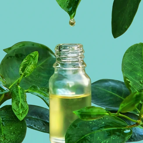 Imagen representativa de la industria Cosmética